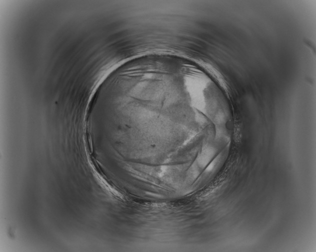 X0000097860903200804041526