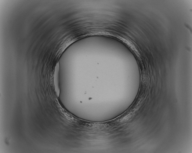 X0000097860905200804041526