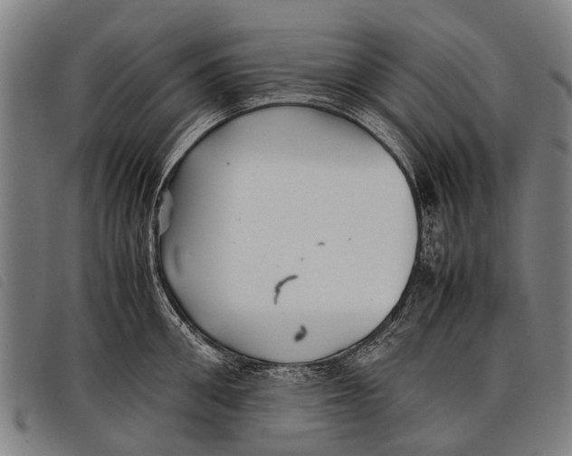 X0000097860906200804041526