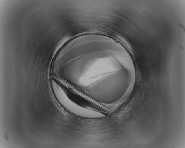 X0000097860907200804041526