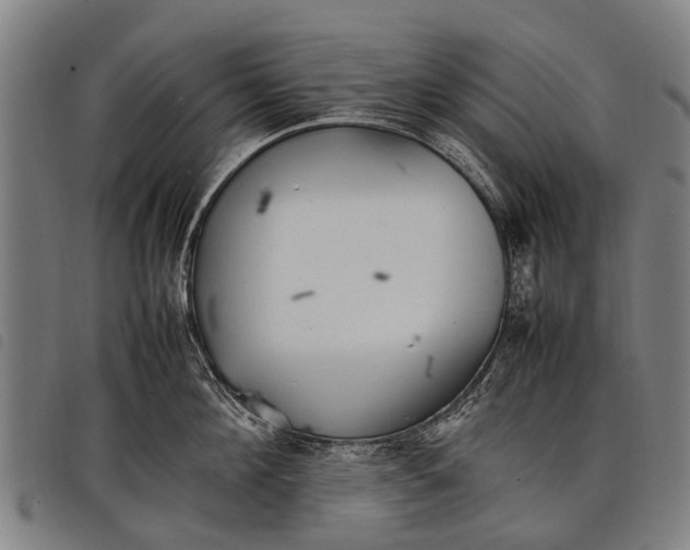 X0000097860908200804041526