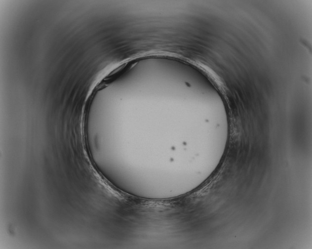 X0000097860910200804041526