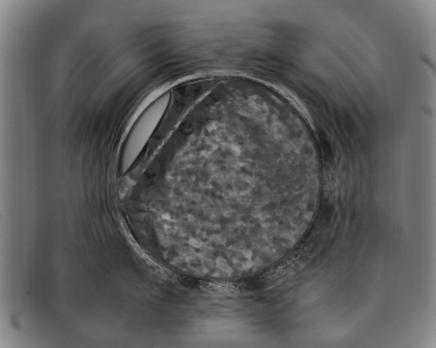 X0000097860911200804041526