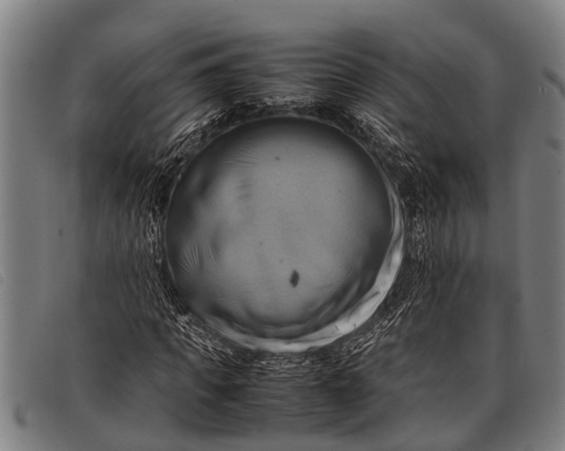 X0000097860917200804041525