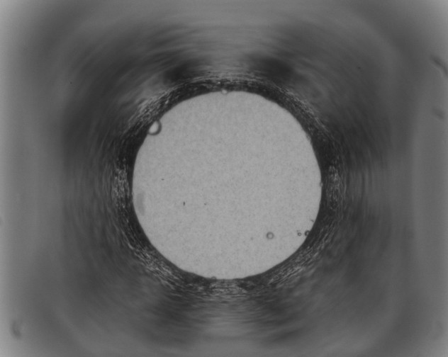 X0000097860918200804041525