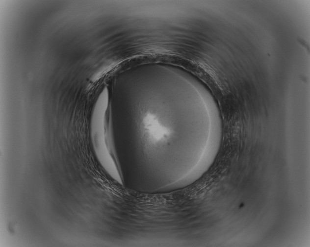 X0000097860919200804041525