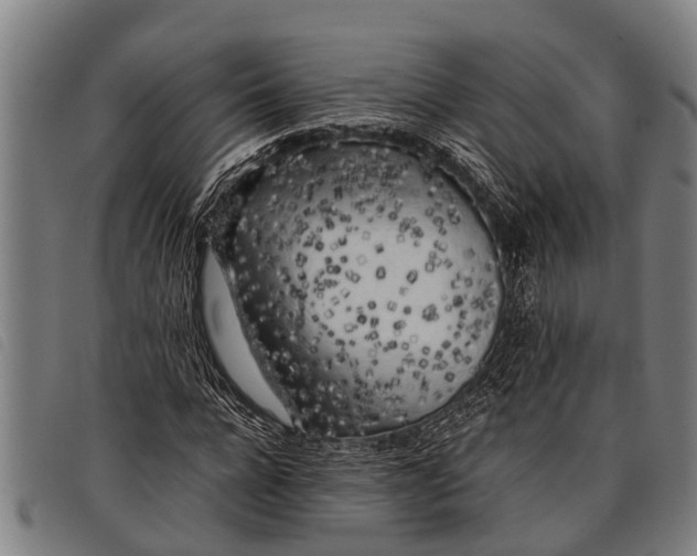 X0000097860920200804041525