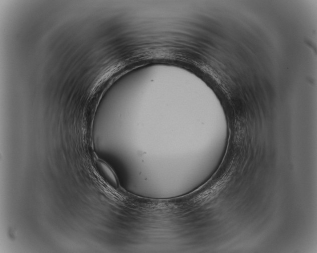 X0000097860922200804041525