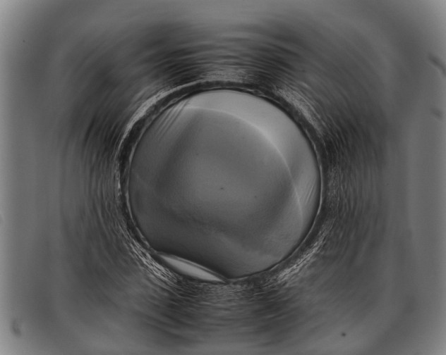 X0000097860923200804041525