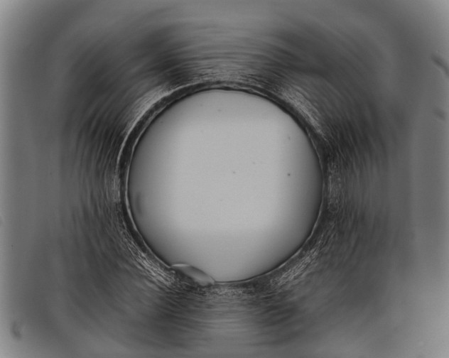 X0000097860924200804041525