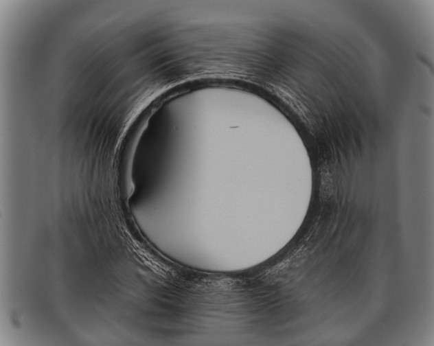 X0000097860926200804041525