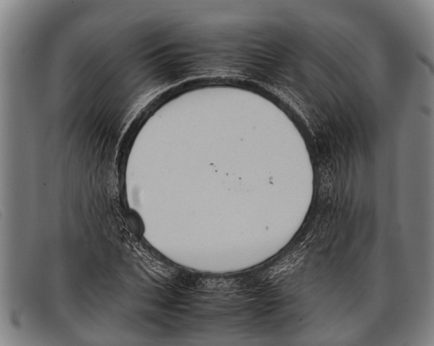 X0000097860927200804041525