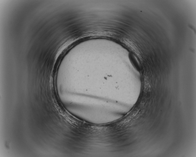 X0000097860928200804041525