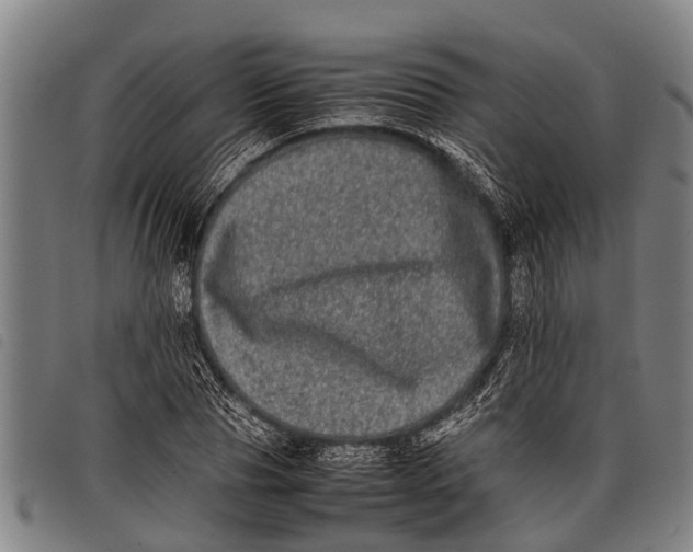 X0000097860929200804041525