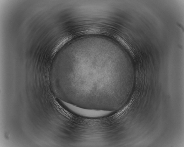 X0000097860930200804041525