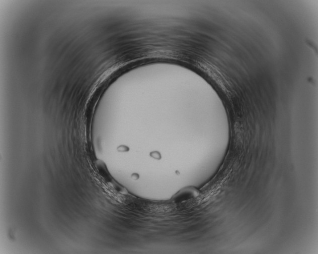 X0000097860931200804041525