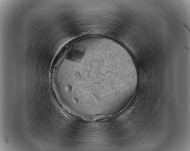 X0000097860932200804041525