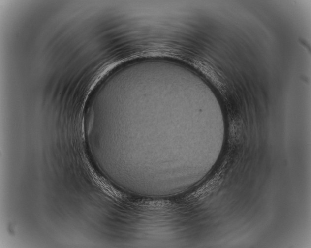 X0000097860934200804041525