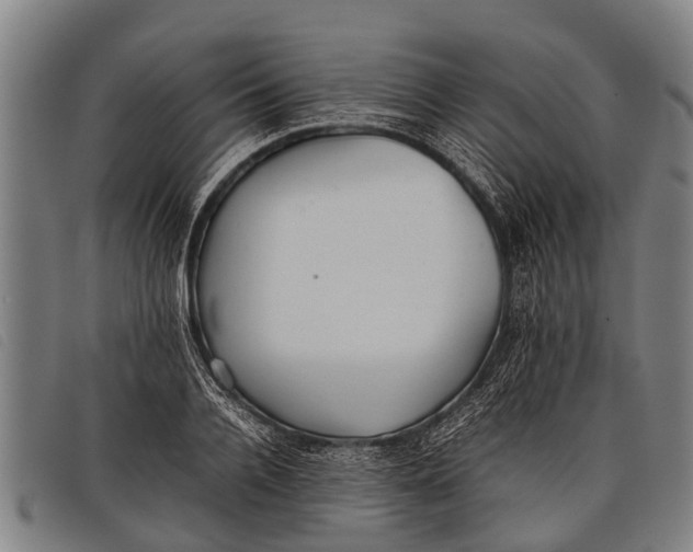 X0000097860936200804041525