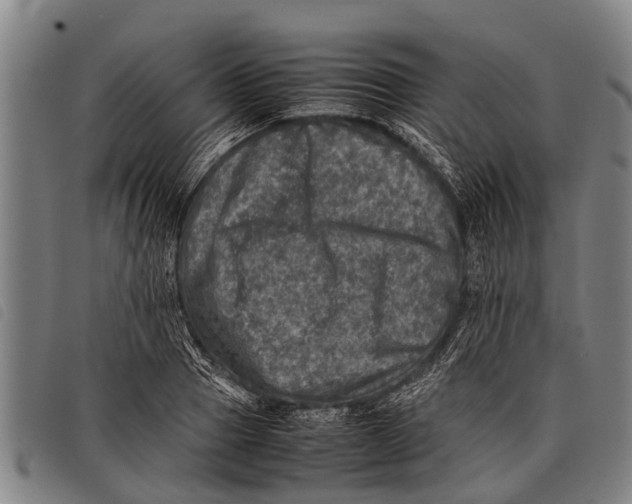 X0000097860937200804041525