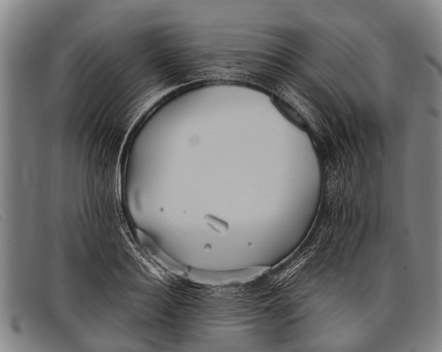 X0000097860940200804041525