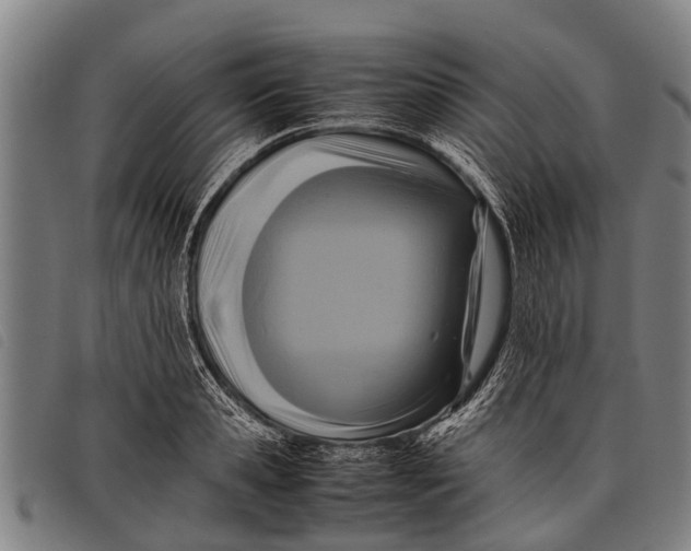 X0000097860941200804041525