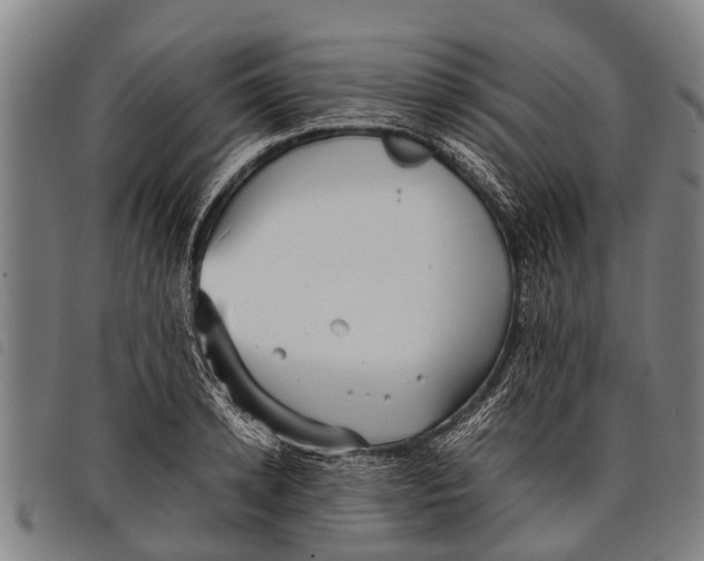 X0000097860942200804041525