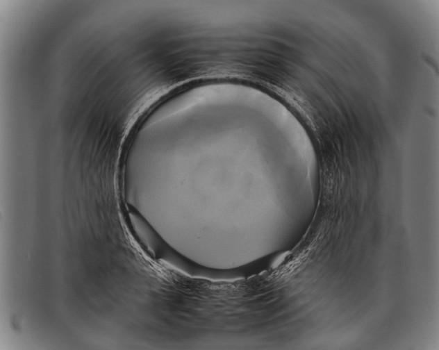 X0000097860943200804041525