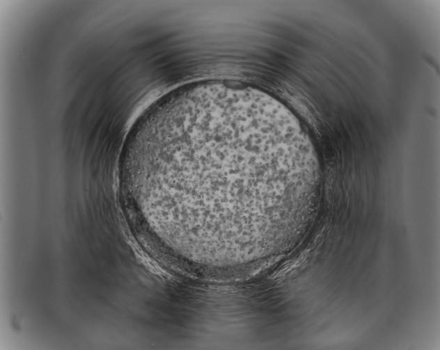 X0000097860944200804041525