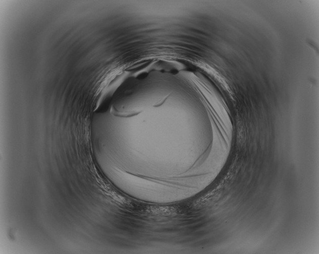 X0000097860945200804041525