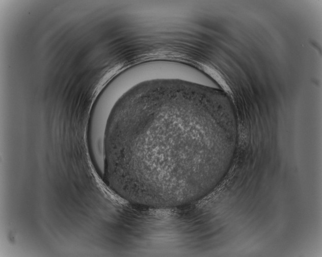 X0000097860946200804041525