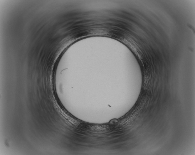 X0000097860947200804041525