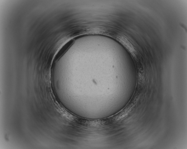 X0000097860948200804041525