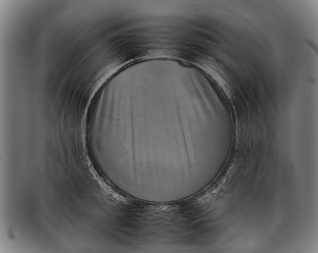 X0000097860949200804041526