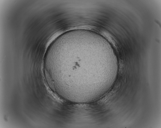 X0000097860952200804041526