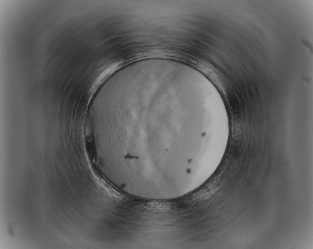 X0000097860954200804041526