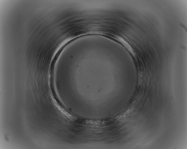 X0000097860955200804041526