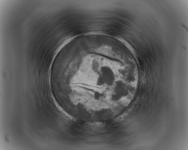 X0000097860957200804041526