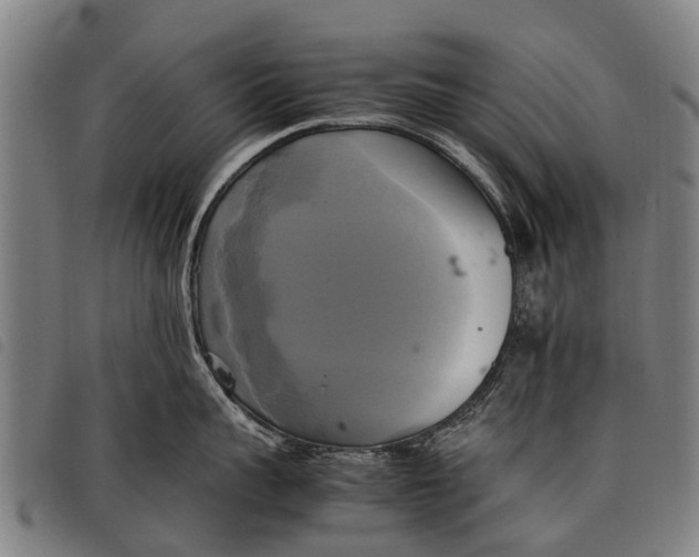 X0000097860959200804041526