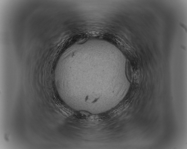 X0000097860961200804041525