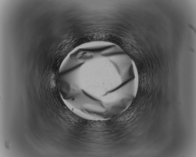 X0000097860962200804041525