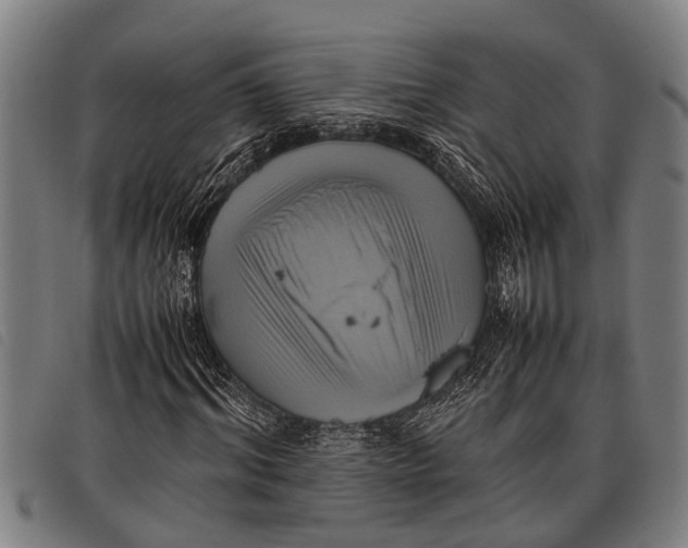 X0000097860964200804041525