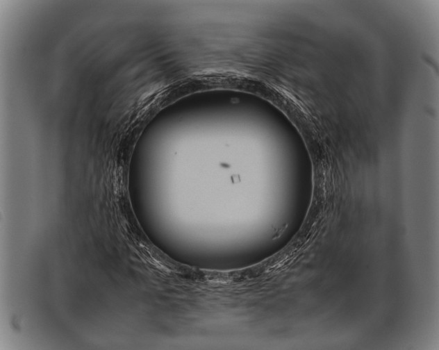 X0000097860965200804041525