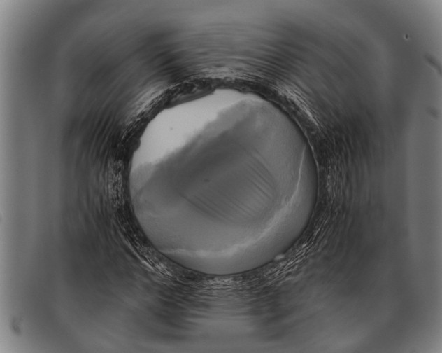 X0000097860968200804041525