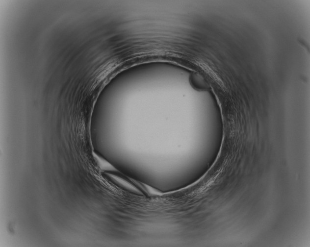 X0000097860969200804041525