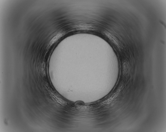 X0000097860970200804041525