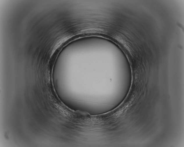 X0000097860973200804041525