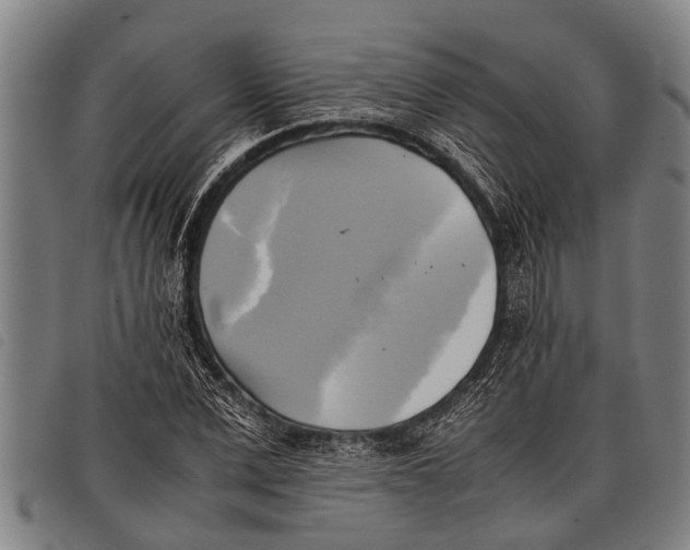 X0000097860975200804041525