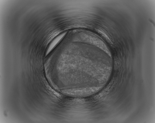 X0000097860977200804041525