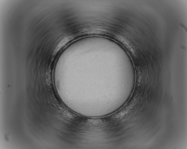 X0000097860978200804041525